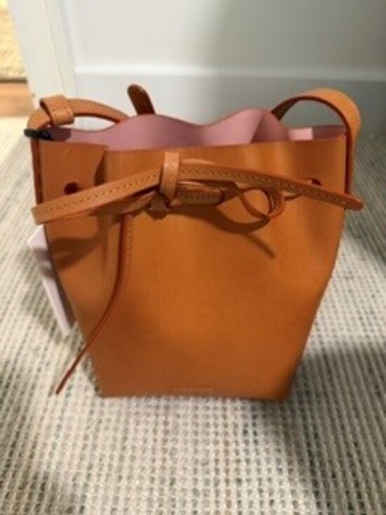 Mansur Gavriel Handbags - Mansur Gavriel Mini Bucket Bag- NEW WITH TAGS AND DUSTBAG